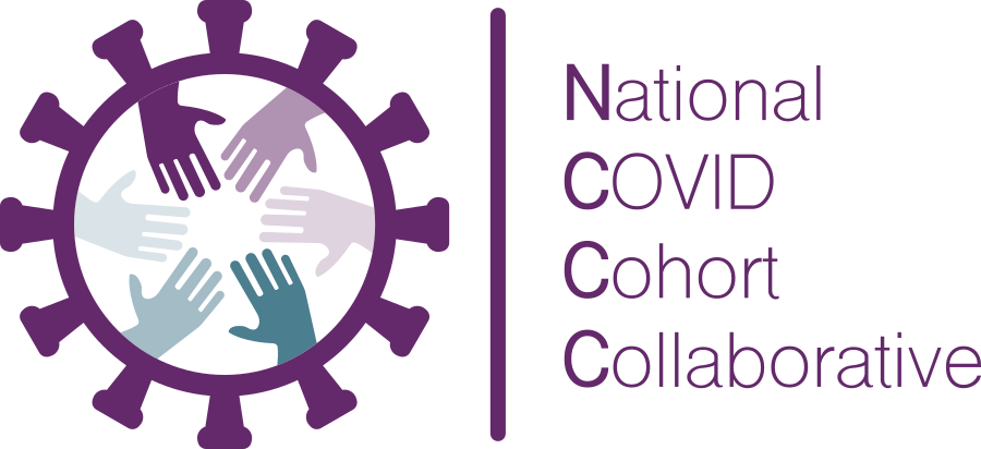 N3C Logo